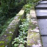 Jardinera de las Grutas