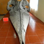 Craneo y Maxilar de Moustro Marino
