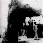 Foto de Epoca el Moustro es levantado por PEMEX