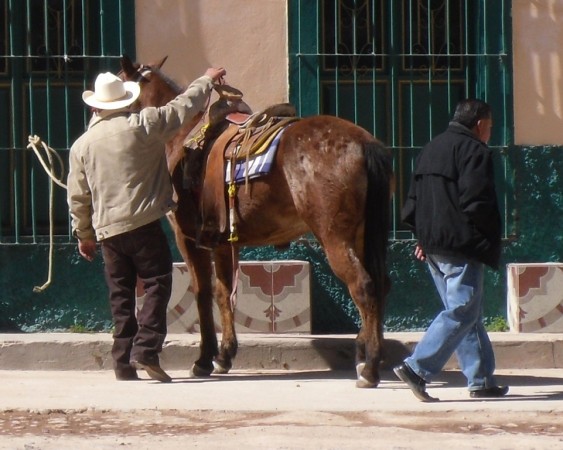 Escenas de Nuevo Valle de Moreno