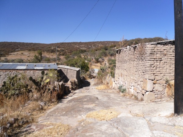 andadores del Venadito