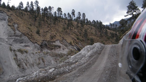 Caminos nuevos