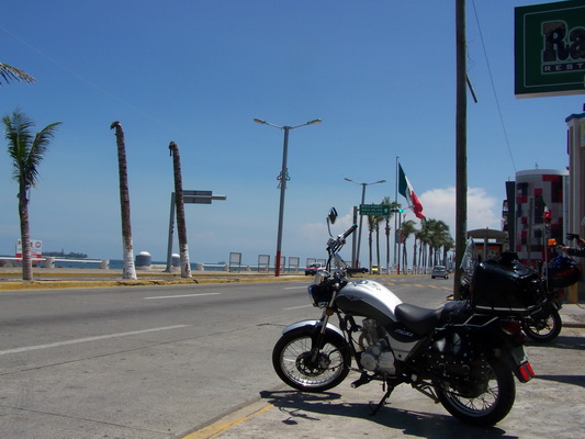 También lo disfrutan También lo disfrutan