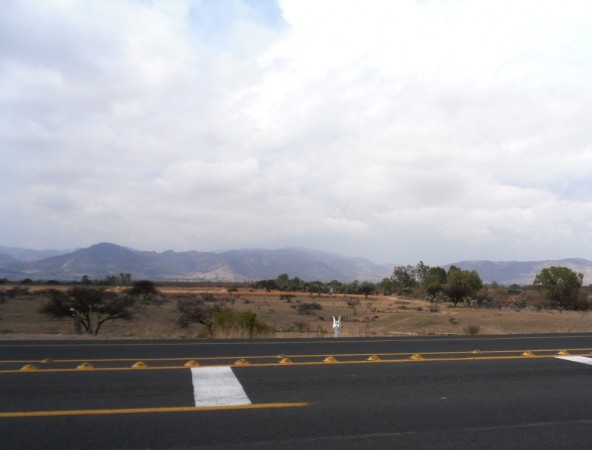 Angeles en el camino