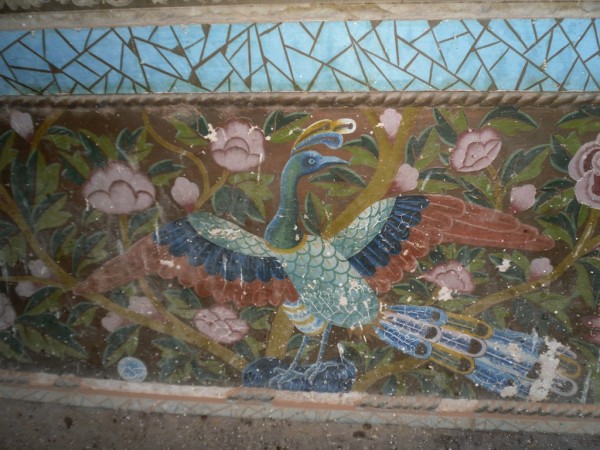 Pavo real