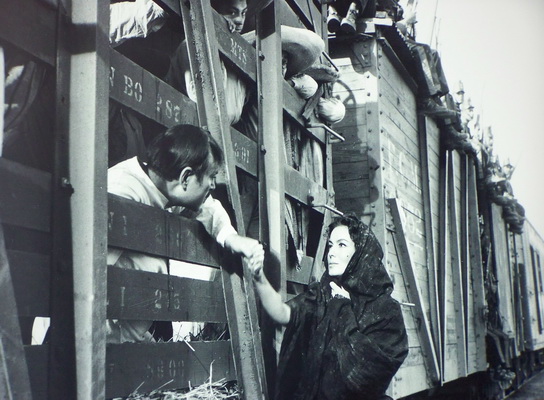 Museo ferrocarril 8