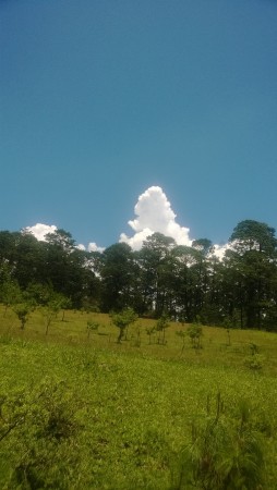 Cielos azules verdaderos…