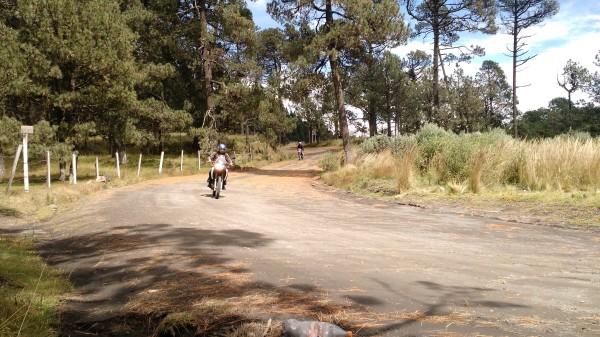 Humberto, nos vimos en el camino