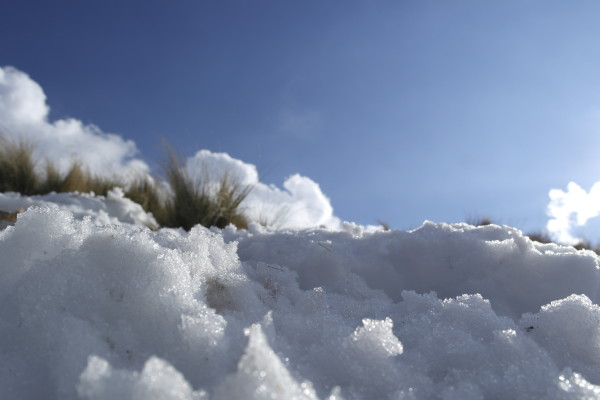 Nieve de limón