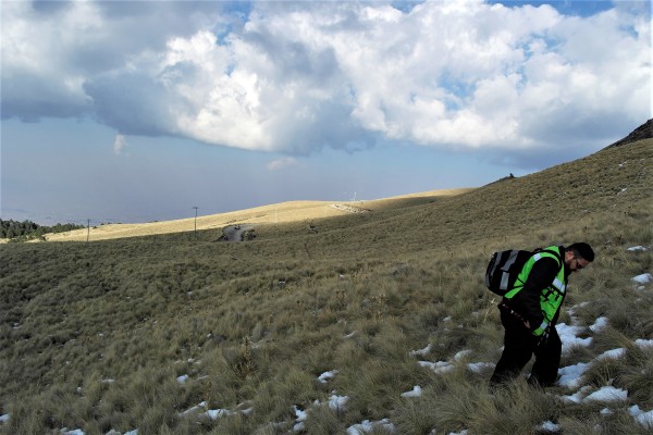 Que comience el pequeño Ascenso (Foto Cortesía Almighty)