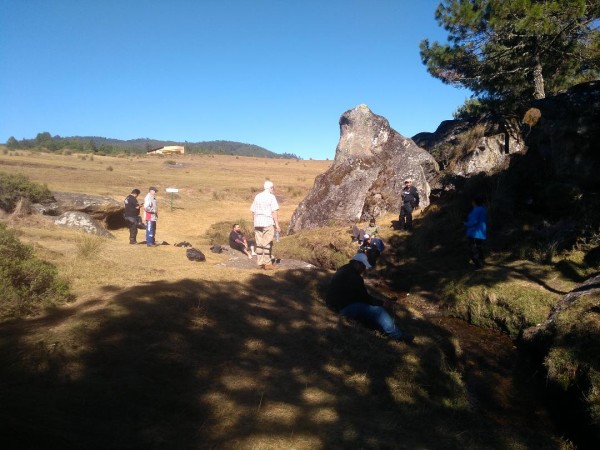 ENTRE PIEDRAS Y NUEVOS AMIGOS