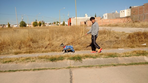 Casual sacando el perro por la mañana